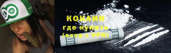 PSILOCYBIN Мурманск