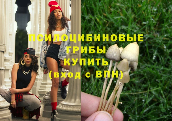 не бодяженный Алзамай