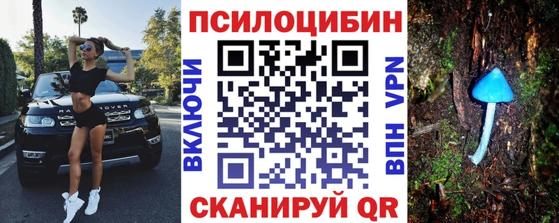 блэк спрут зеркало Навашино Галлюциногенные грибы MAGIC MUSHROOMS